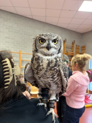 2F9817E01CBF4BA6A4DBC73A82CB60E6