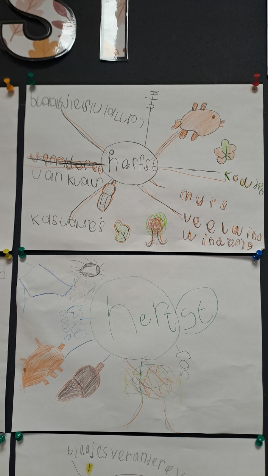 Herfst groep 3